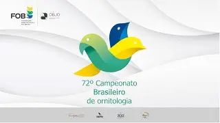 72&ordm; Campeonato Brasileiro de Ornitologia #3 | EX&Oacute;TICOS | FOB - ITATIBA | (15/07/2025)