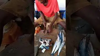 Kola fish cutting / Fish Cutter Prakesh