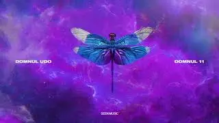 Domnul Udo - Namaste feat. NANE (Audio)