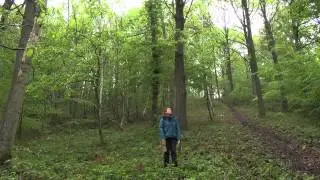 2.Retrouver les limites de ma forêt