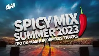 SPICY MIX SUMMER 2023 - TIK TOK MASHUP/REMIXES/TRACKS