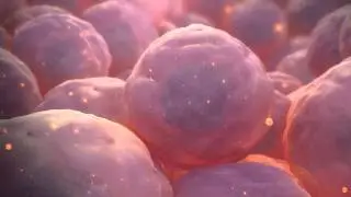 Stem Cell Animation