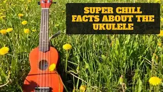 Super Chill Facts About The Ukulele