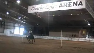 Poles run. Florida 4-h State horse show.