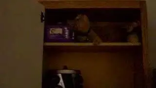 Cabinet Capers