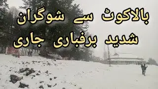 Balakot To Shogran live update | Live snowfall Shogran Today | Shogran Road latest update |