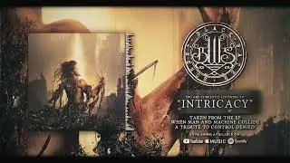 Intricacy (Black Water Sunset - Control Denied Tribute/Cover 2024)