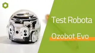 Test robota Ozobot Evo