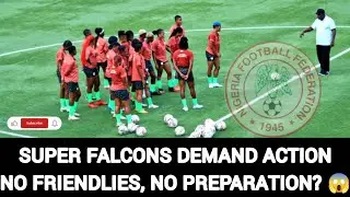 Super Falcons Voice Out: Frustration Grows as NFF Fails to Organize Friendlies Ahead of WAFCON 2026🔥