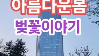석촌호수 벚꽃이야기 아름다운 봄!!!