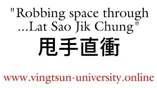 Ving Tsun University &bdquo;Robbing Space & Constant Forward Pressure&ldquo; in Wing Chun, Wing Tsun