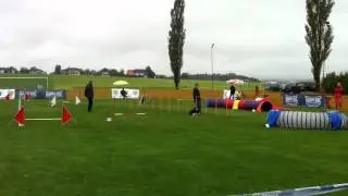 Steirerpfoten2012, STM Mannschaft Judith J-Lauf