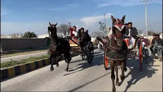 Horse Karmanwala and  janspur / janspur Horse And Karmanwala