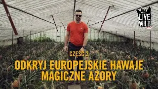 Daily Vlog AZORY #3/10: GORĄCE ŹRÓDŁA W LESIE DESZCZOWYM I PLANTACJA ANANASÓW