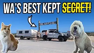 Hidden Gem! Epic Pet-Friendly Coastal Camping in WA - BYO Caravan, Dog & Cat | Lap of Australia