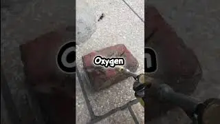 Wax as a fuel