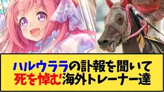 【ウマ娘 海外の反応】ハルウララの訃報を聞き、死を悼む海外トレーナー達【反応集】