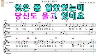 당신도울고있네요 김종찬 악보와노래