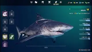 MANEATER - DEAD HORSE LAKE APEX PREDATOR FIGHT - PS4 PRO