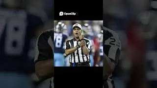 Bad Calls That Shifted Panthers Momentum