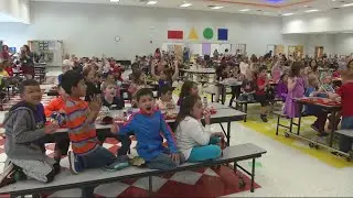 OCAAT: Meadow View Elementary School