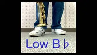 Low A Soprano Sax  #shorts