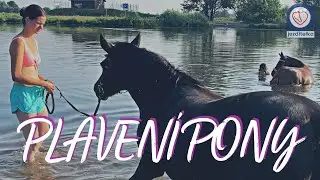 VÝLET K LABI // VLOG
