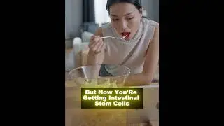 One Meal A Day Benefits dr mindy pelz