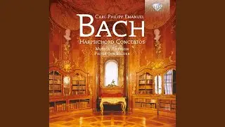 Concerto in G Major, Wq. 3: I. Allegro di molto