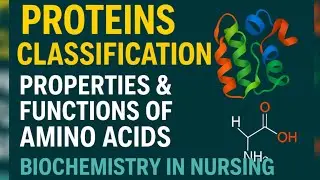 Protein Classification | Nutritional, Physical & Chemical Properties | Amino Acid Functions