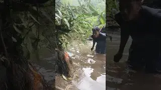 akar menyala pinggir sungai ternyata ada keris pusakanya
