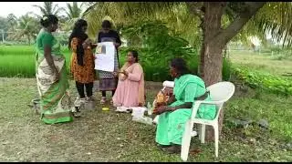 Demonstration on yellow pan trap