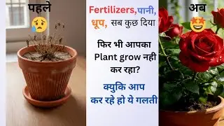  पौधो की गुडाई कब और कैसे करनी चाहिये|आपका Plant grow नही कर रहा? तो करिये ये काम👆plant growth tips