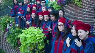 Take a Walk in the Law Quad: LLM Students