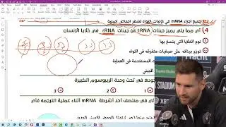 30 سؤال لتنظيم النسل
