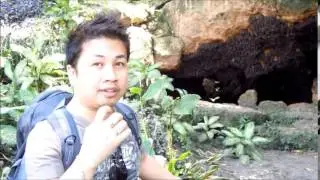 Redfly travel: Monfort Bat Sanctuary, Samal Island  2015