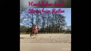 Headshaking beim Reiten