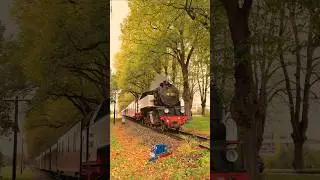 Molli 99 321 Steam Locomotive  arriving in Bad Doberan #trainspotting #travel #steamtrain