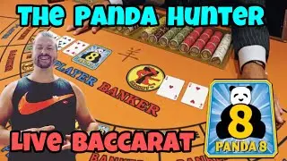 Hunting The Panda 🐼 Live Baccarat - The Baccarat Assassin Eposode 11