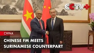 Chinese FM Meets Surinamese Counterpart
