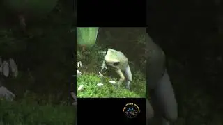 Dart Frog Catches Fruit Fly in SLOW MOTION! 🐸 #frog #amphibian #awesome #wow #animals #pets #frogs