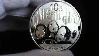 Silver Chinese Panda 1oz 2013 HD