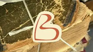 Promo video for the mobile app 