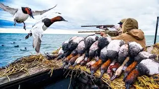 2 DAYS ONTARIO CANVASBACK COVER BOAT DUCK HUNTING!