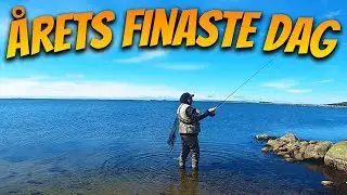 En Fin Dag Vid Kusten | Fiskelycka