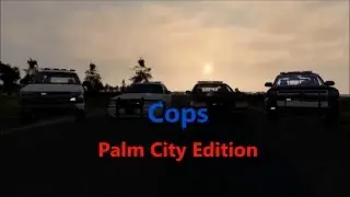 Palm City RPG Presenting: COPS,