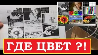 HP Color 150 / 178 / 179  Не печатает цветным. Только черным / No color. Only print in black