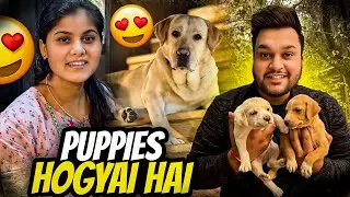 Simba Ban Gaya MAMA 😍 #vlog