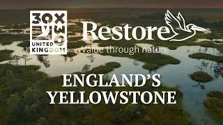 England's Yellowstone: Nature-positive business leadership opportunity