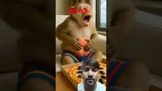 Monkey eats cockroach with pizza then monkey's father takes monkey to hospital 😭#ai​ #money​ #pizza​